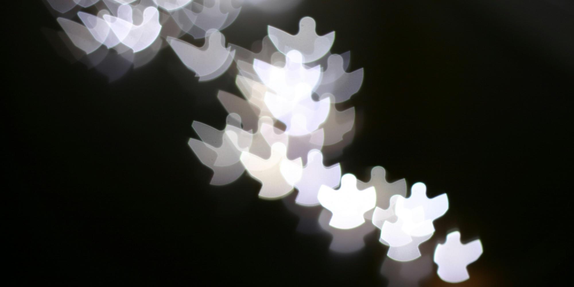 Cover image for this post: Blurry white and gray angel shapes on a black background.